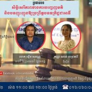 Freedom of Expression and Incitement to Commit Felony