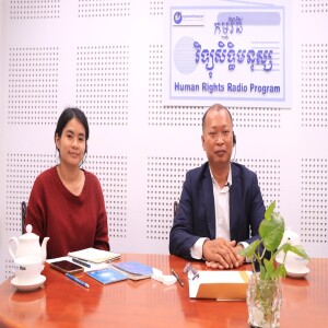សេរីភាពខាងការ បញ្ចេញមតិ និងច្បាប់
