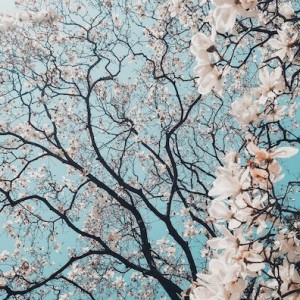 #158: What Season Are You In?