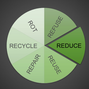 6 Rs of Sustainability #2: Reduce