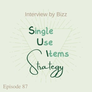 Single Use Items Strategy