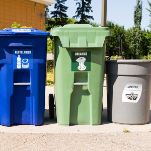 6Rs of Sustainability: Recycling Part 2