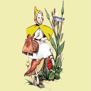 Fairy Tales - The True Tale of Little Golden Hood