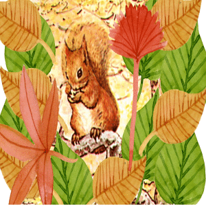 Fairy Tales - The Tale of Squirrel Nutkin