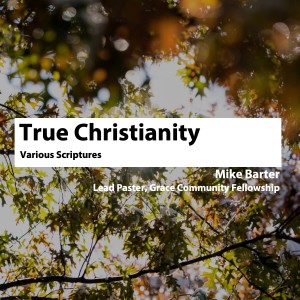 True Christianity • Mike Barter