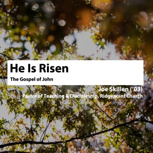 Jesus Risen • Joe Skillen