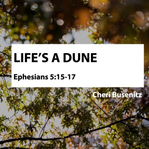 Life’s a Dune. • Cheri Busenitz