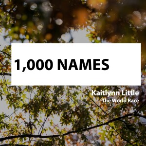 1,000 Names • Kaitlynn Little