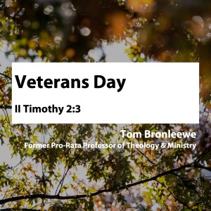 Veterans Day • Tom Bronleewe
