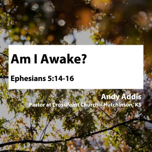 Am I Awake? • Andy Addis