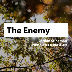 The Enemy • Jordan Stineman