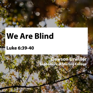 We Are Blind • Dawson Urwiller