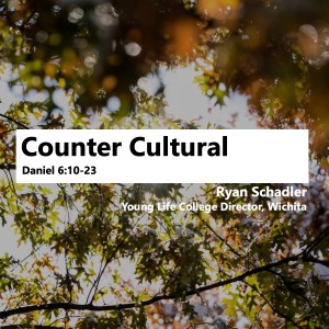 Counter Cultural • Ryan Shadler