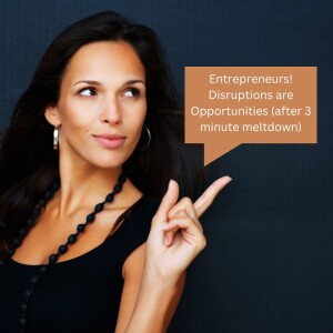 Entrepreneurs! Disruptions are Opportunities (after 3 minute meltdown)