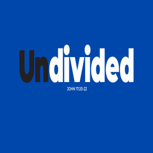 UNDIVIDED