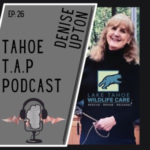 Ep. 26 - Denise Upton - Lake Tahoe Wildlife Care