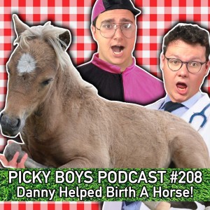 Danny Helped Birth A Horse! - Picky Boys Podcast #208