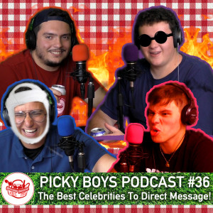 Picky Boys Podcast #36 - The Best Celebrities To Direct Message!
