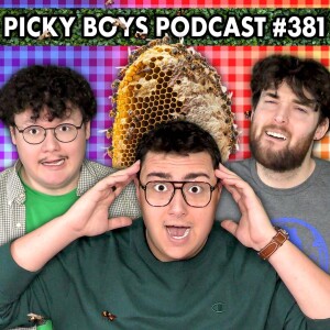 The Bees Got Me Pulled Over! - Picky Boys Podcast #381