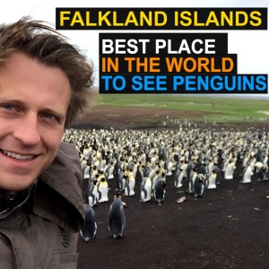 Falkland Islands - Best Place in the World to see Penguins