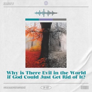 137: Why is there evil in the world if God could just get rid of it?