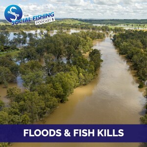 Ep70 – Current Flooding and Fish Kills: The Facts Around What is Actually Happening (ft Peter Phillips)