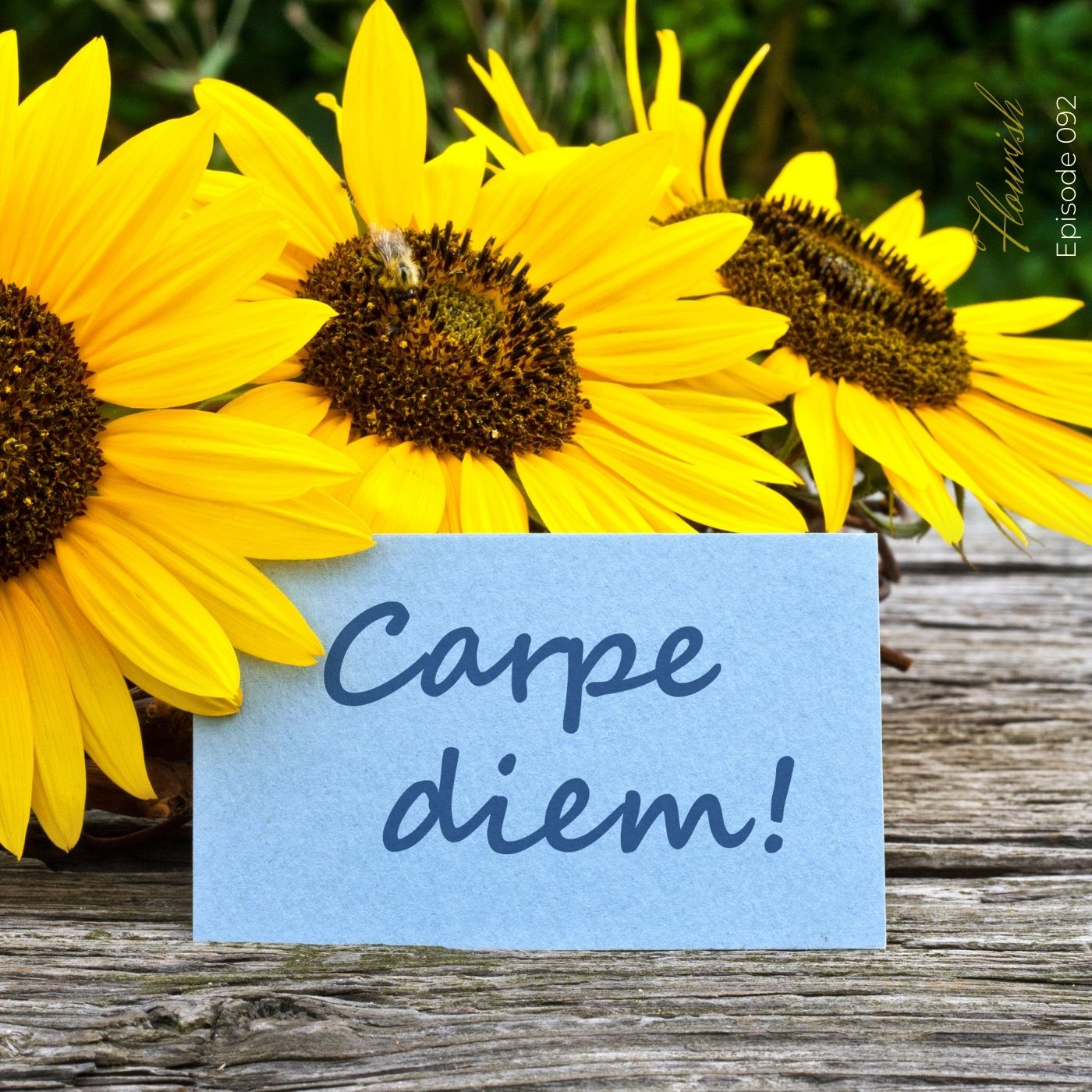 Flourish - Live an Inspired Life for #Success