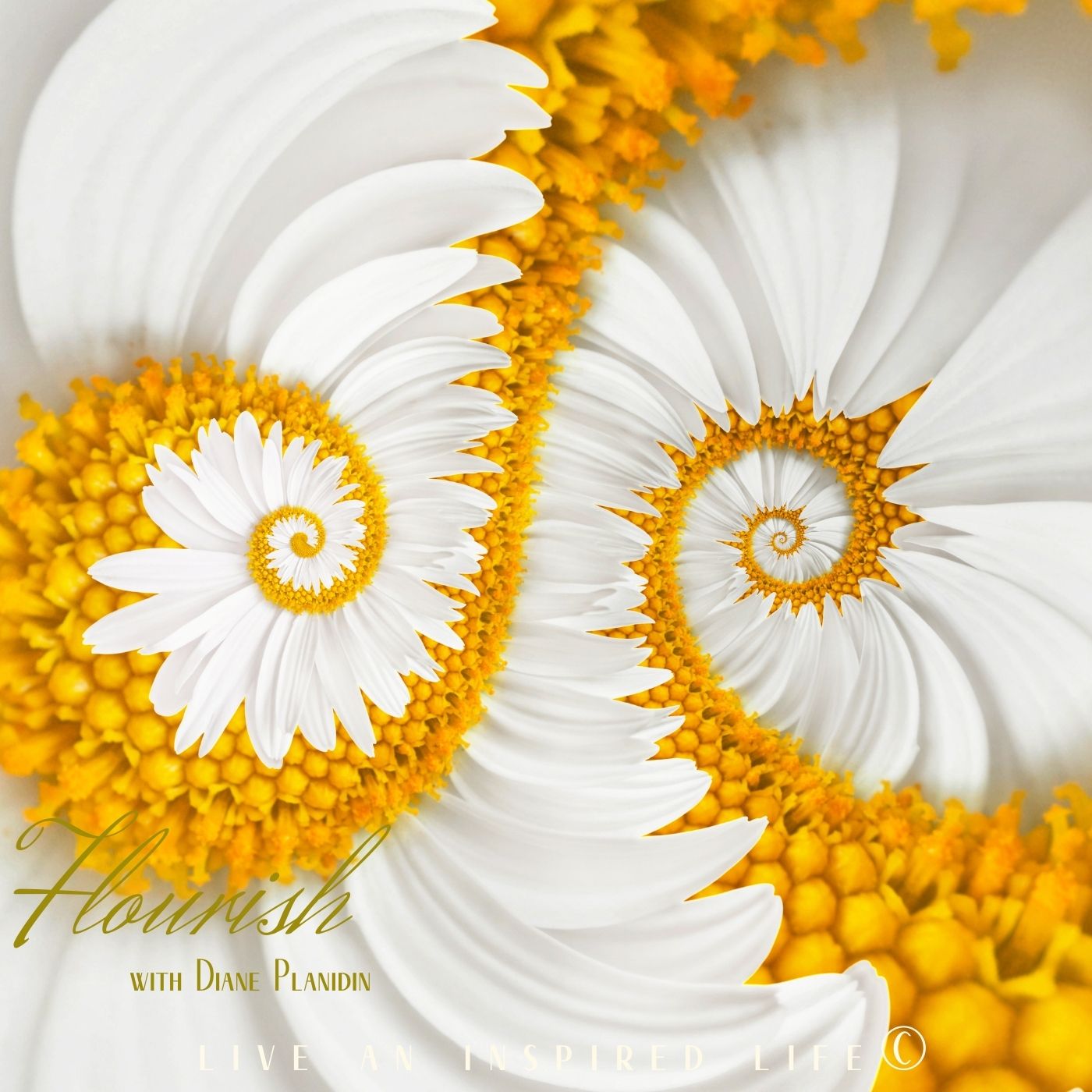 Flourish - Live an Inspired Life for #Success