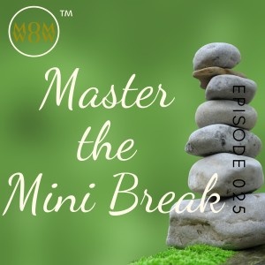 Zen - The Art of Mastering the Mini-Break - Change your World - Start Today