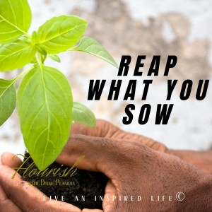 Reap what you Sow | Flourish with Diane Planidin | Ep 113