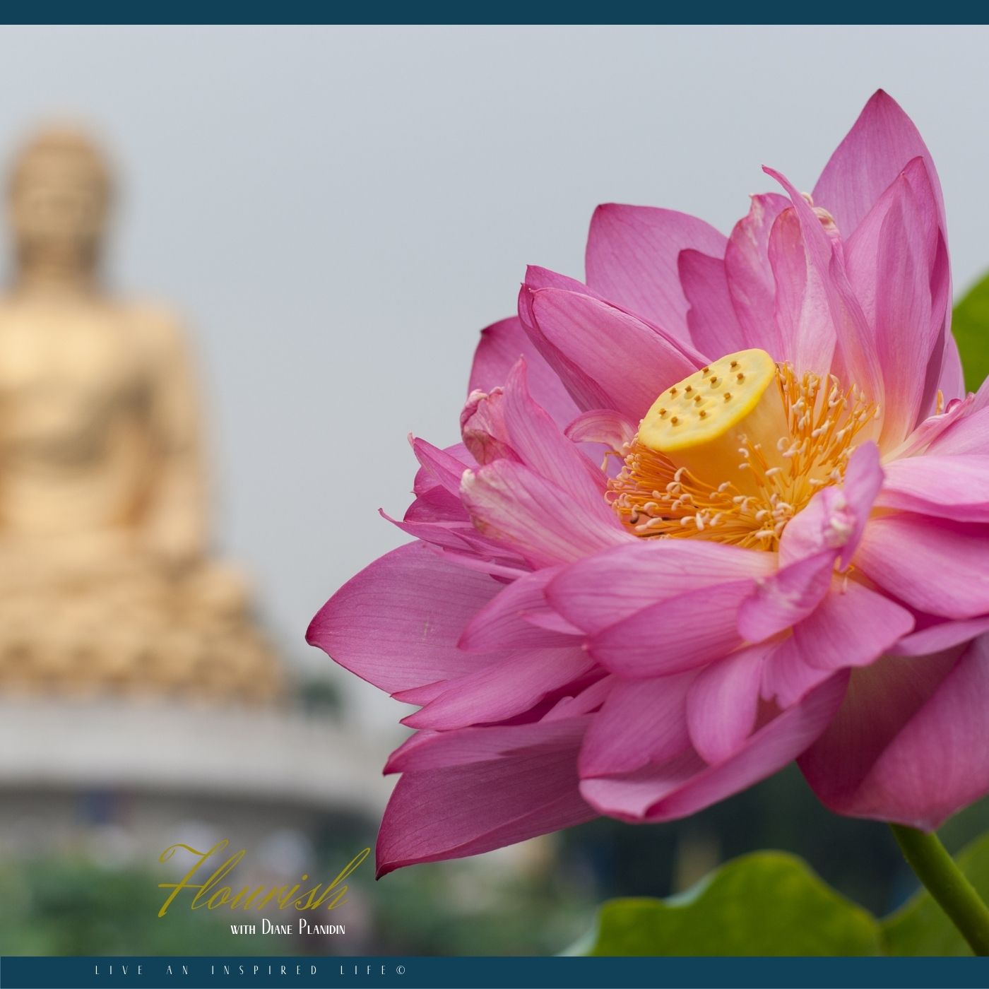 Flourish - Live an Inspired Life for #Success