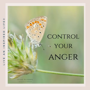 Anger Control for a Better Mind, Body & Spirit | Thich Nhat Hanh | Flourish with Diane Planidin