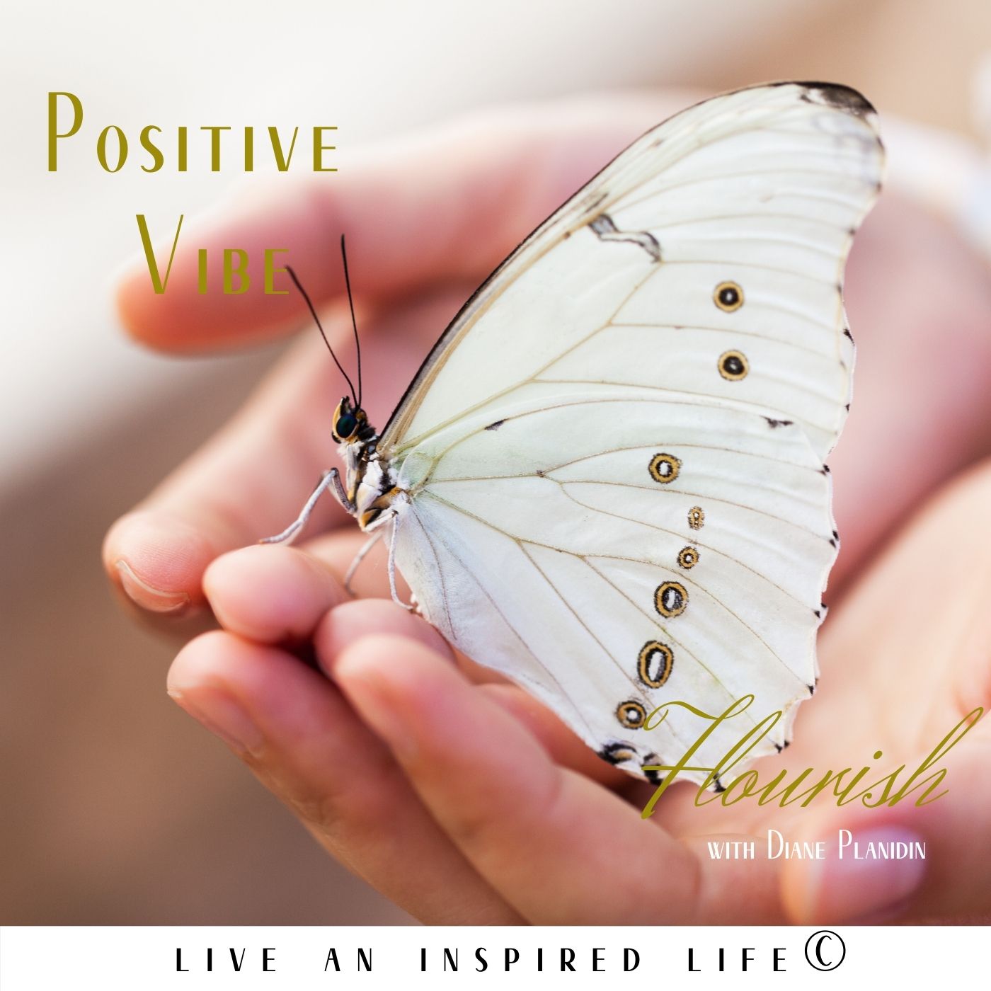 Flourish - Live an Inspired Life for #Success