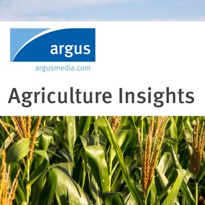 Agriculture Insights: Back from the fields… Ukraine corn crop tour