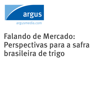 Falando de Mercado: Perspectivas para a safra brasileira de trigo