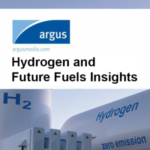 Hydrogen and Future Fuels Insights: Electrolysers