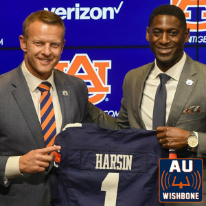 29 Dec 2020: Did Auburn Get it Right?