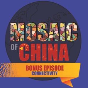 Mosaic of China with Oscar Fuchs: Bonus Episode on ’Connectivity’