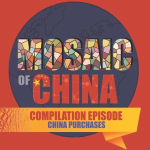 Season 02 Compilation: China Purchases