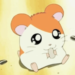 The Hero, Hamtaro: Ham-Ham Heartbreak