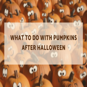 What to Do With Halloween Pumpkins