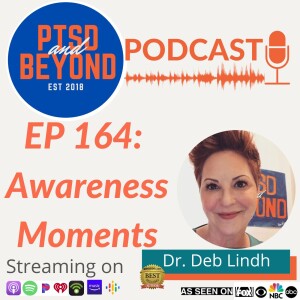 EP 164: Awareness Moments