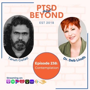 EP 238: Contemplation with Tarun Gulati
