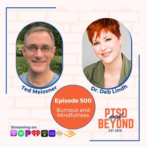 Episode 500: Burnout and Mindfulness with Ted Meissner