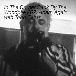 In The Corner Back By The Woodpile 262: Adam Again with Todd Zeller