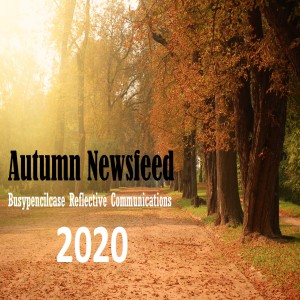 Autumn Newsfeed 2020 Busypencilcase Reflective Communication