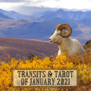 38 Transits & Tarot of January 2021