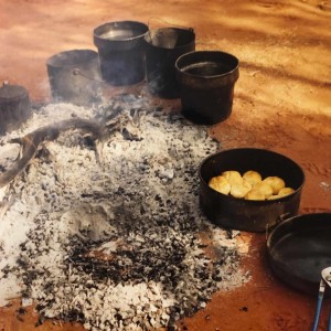 A Cameleer's Take on Campfire Cooking