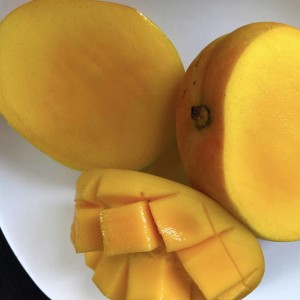 Mango Loving