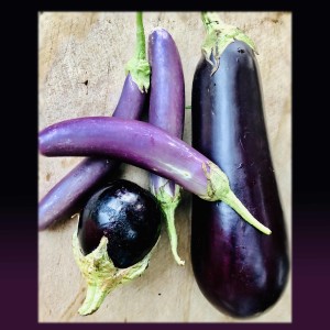 Eggplant and New York food adventures with Marina Strocchi